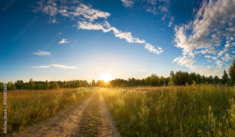 Fototapeta premium summer rural landscape with sunrise, fog and the road