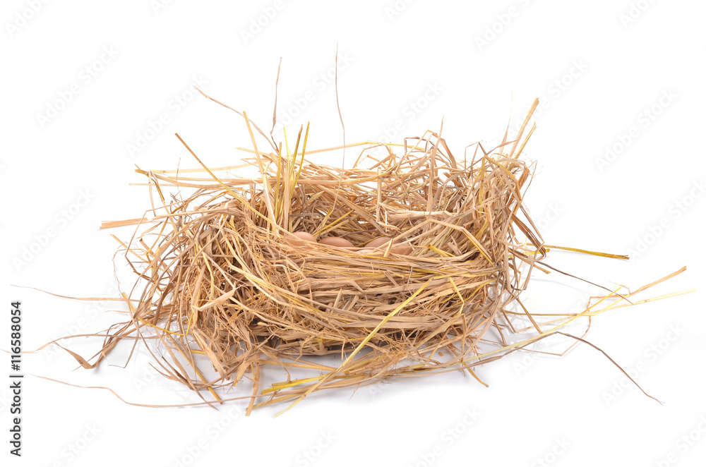 Obraz premium a pile of brown eggs in a nest isolated on a white background