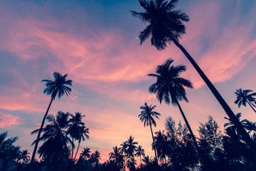 Silhouettes of palm trees against the twilight sky.