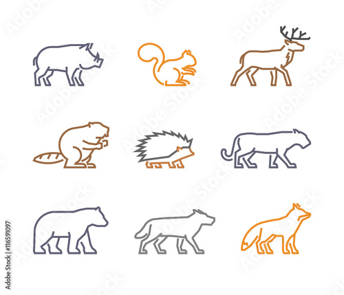 Vector set figures of wild animals