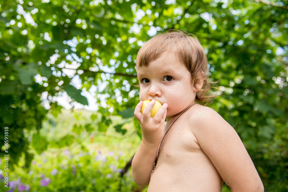 little boy eats an apple in a garden little boy eats an apple in a garden