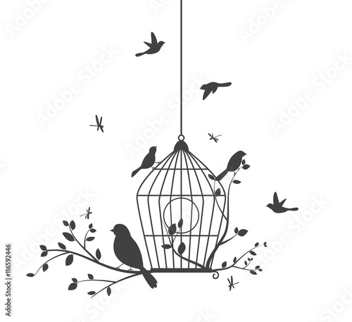 Birds silhouette with tree and birdcages