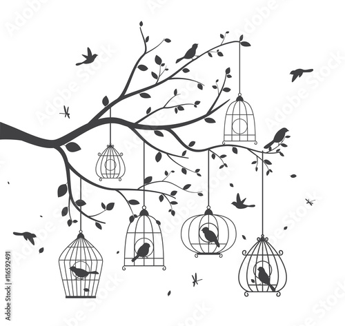 Birds silhouette with tree and birdcages