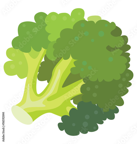 Green broccoli - a source of vitamins and health