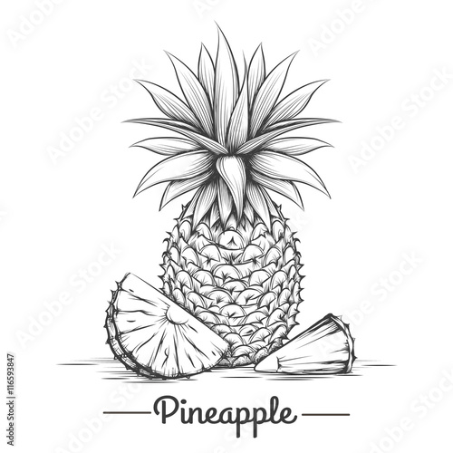 Doodle sweets pineapple. Hand drawn exotic dessert eating. Vector illustration