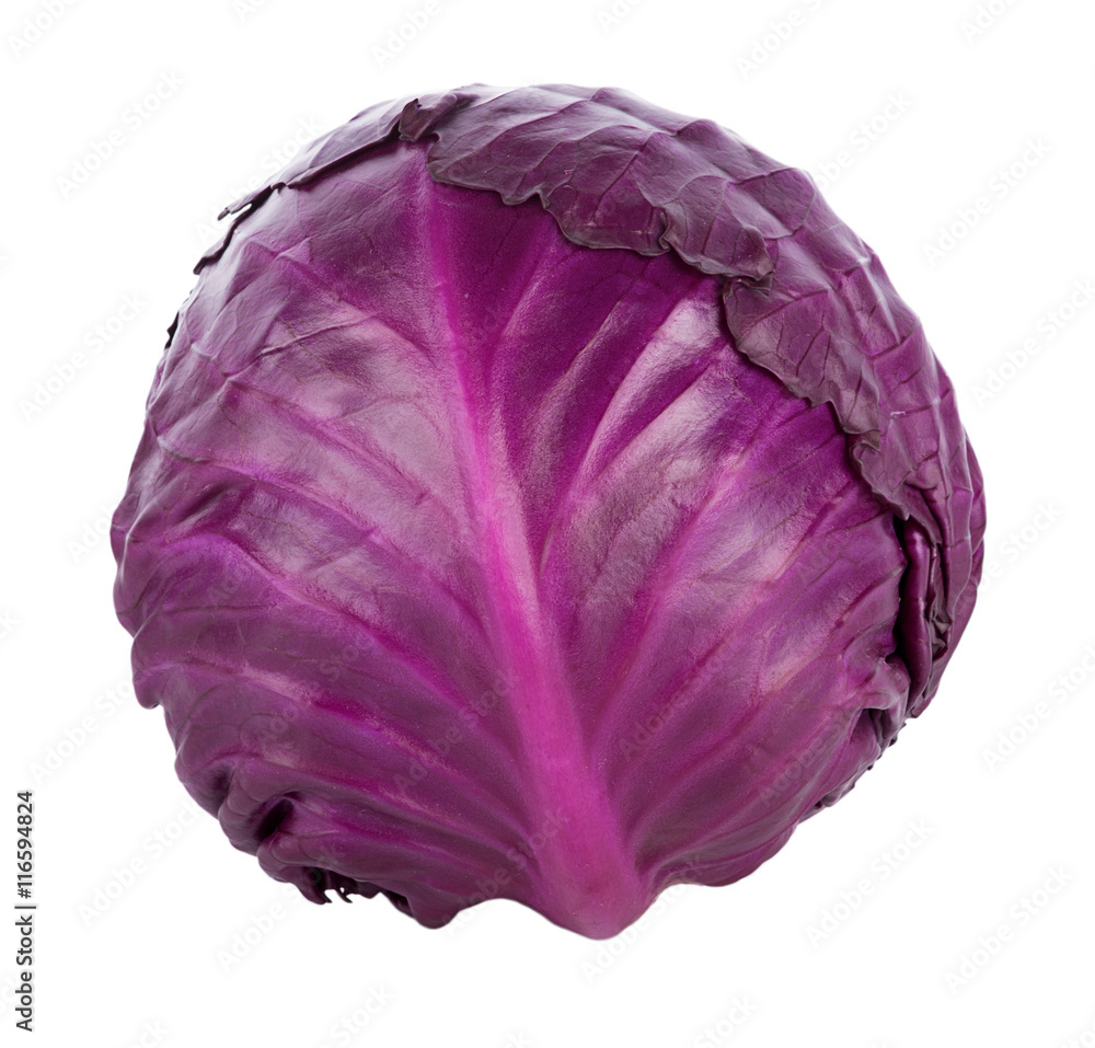 Obraz premium Purple cabbage isolated on white background
