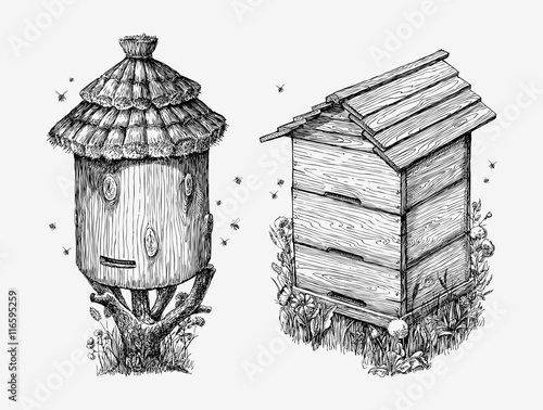 Wooden hives. Hand drawn sketch beekeeping, honey, bees. Vector illustration