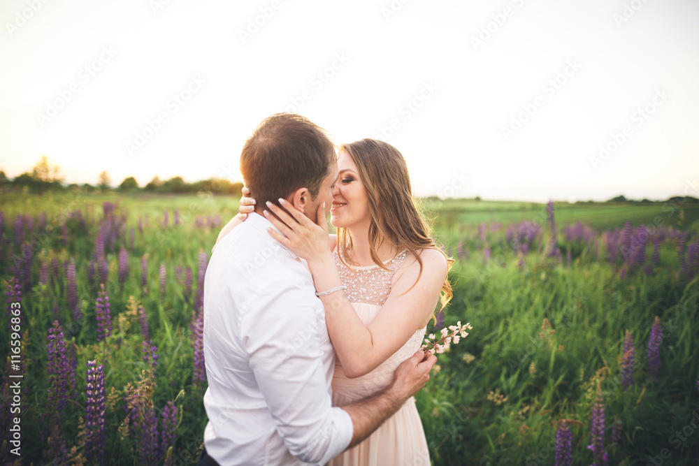 Beautiful couple, bride, groom kissing and hugging in the field sunset Beautiful couple, bride, groom kissing and hugging in the field sunset