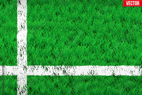 White line on Sport grass field