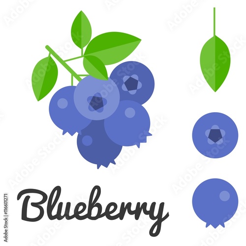 Vector blueberry, flat design