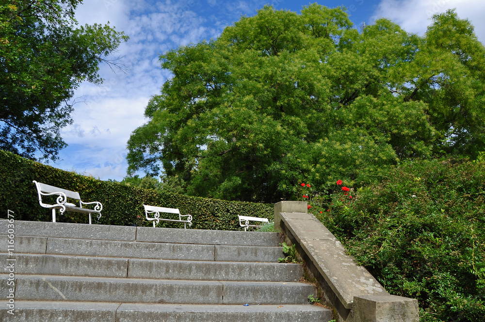  Beautiful local park with white benches and stairs path