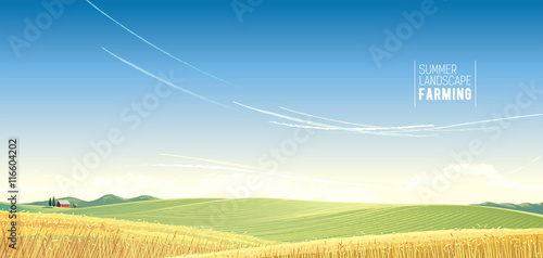 Rural landscape with wheat and house, is created for use as a background image.