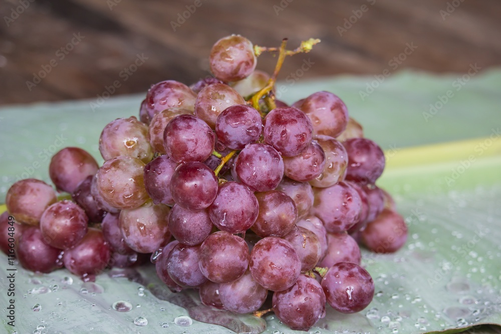 Fototapeta premium Bunch of red grapes , fresh with water drops isolated on banana leaf background , Close up , Low key photo natural light , Focus sharp specific point