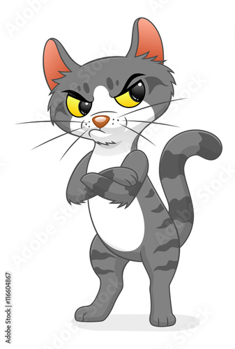 Grumpy cat