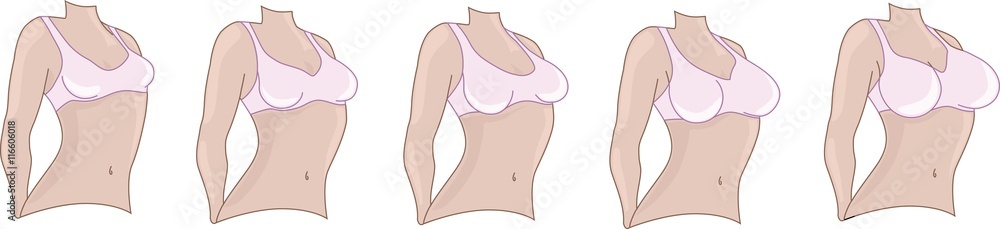 Grafika wektorowa Stock: Woman breast size. Boobs sizes from small