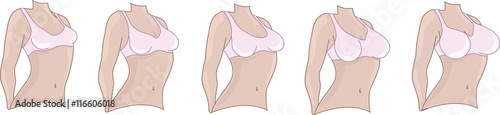 Woman breast size. Boobs sizes from small to big.