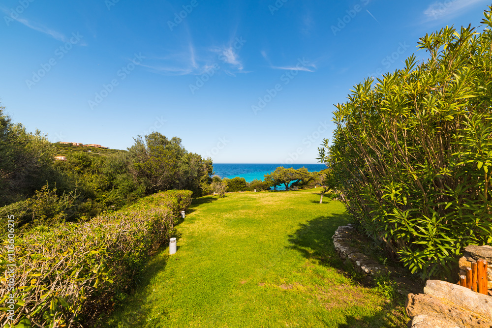 green grass by the sea in Sardinia