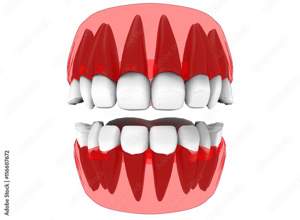 3d illustration of x-ray gum with teeth and tongue. icon for game web. white background isolated. colored and cute. anatomy part of the mouth. 3d illustration of x-ray gum with teeth and tongue. icon for game web. white background isolated. colored and cute. anatomy part of the mouth.