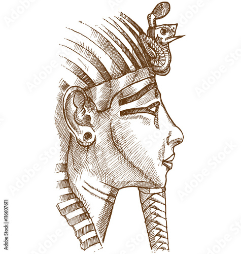 gold tutankhamon mask hand drawn