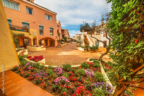 Photography flower bed in Porto Cervo