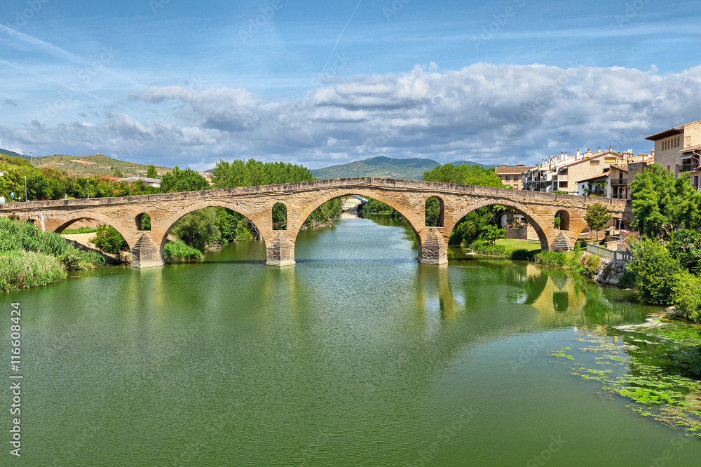 Roman bridge across the Arga river in Puente la Reina
