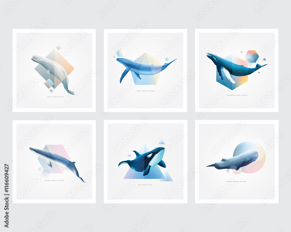 Fototapeta premium Set of whales with colorful geometric polygons, triangle, circle and cubic shape designs