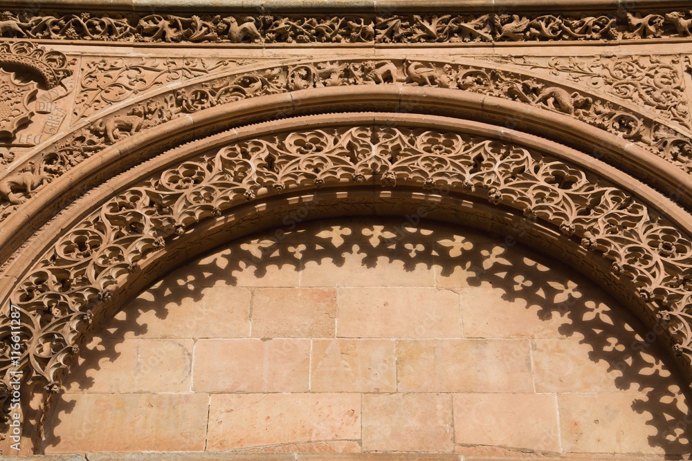 Ornamental detail. Exterior  of the Cathedral in Salamanca. 