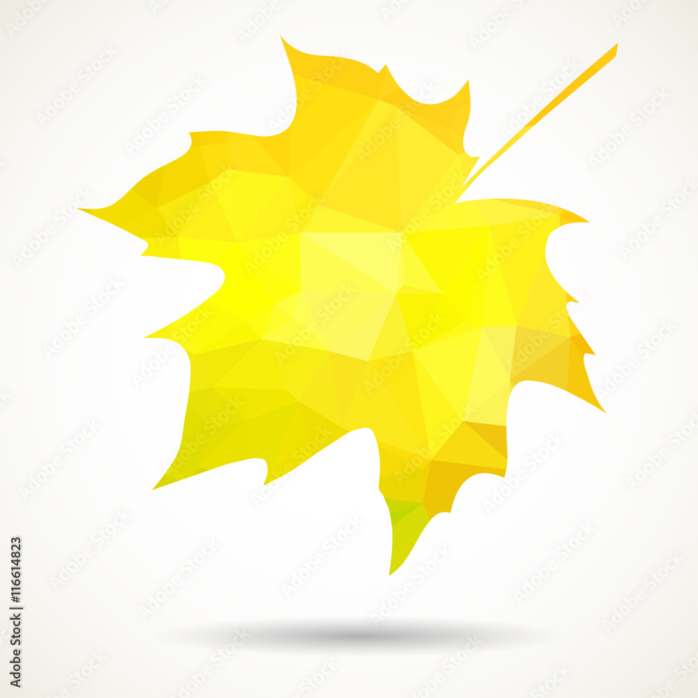 Obraz premium Triangular maple leaf