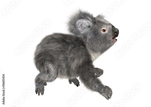 Fototapeta Naklejka Na Ścianę i Meble -  3D Rendering Koala Bear on White