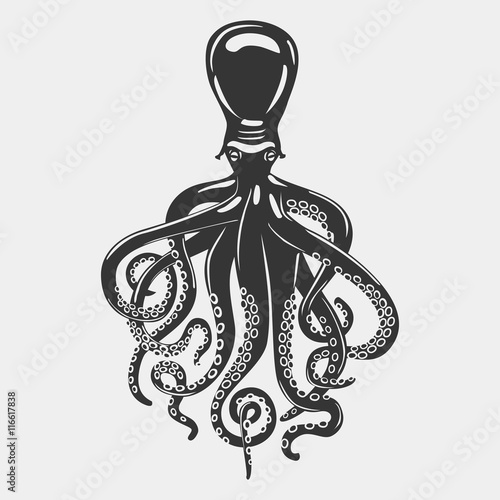 Octopus with flexible limbs extending from head
