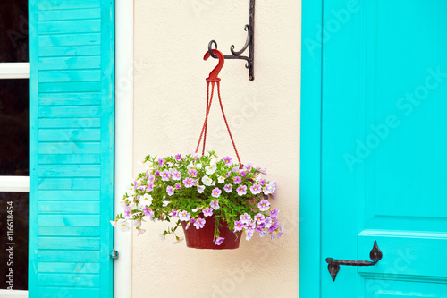 Pot with flowers on the wall © prescott09