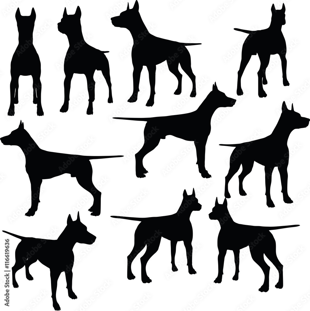 dog collection vector silhouette Stock Vector | Adobe Stock