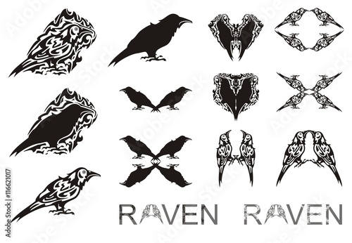Tribal raven symbols. The stylized raven symbols, raven silhouette, writing of a raven for your design. Black on white