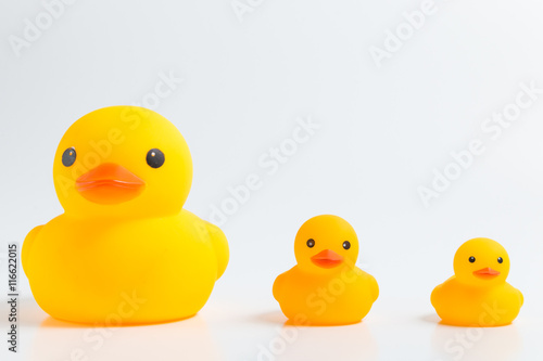 sort by size three yellow rubber ducks isolate on white background