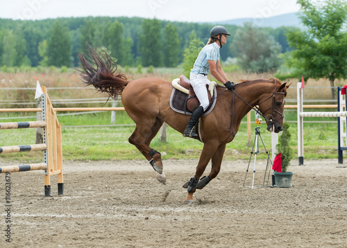 Equestrian Sports, Horse jumping, Show Jumping