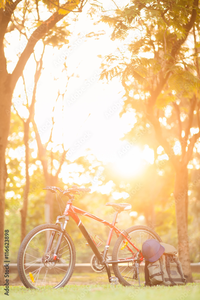 Fototapeta premium Mountain bike
