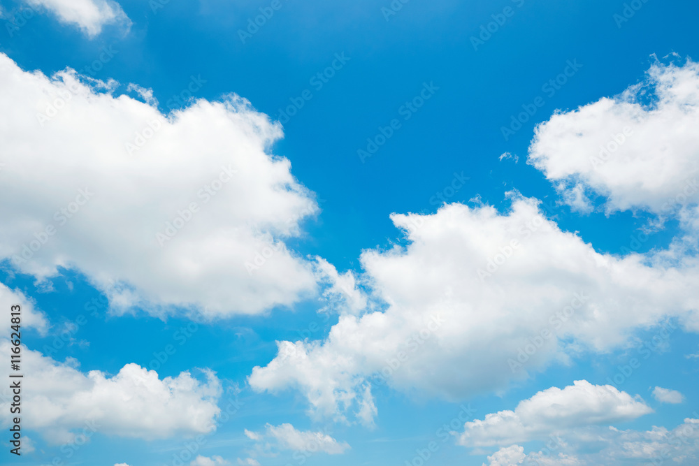 Fototapeta premium 青空