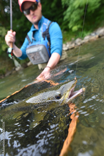 Fly fisherman catching brown trout in river
