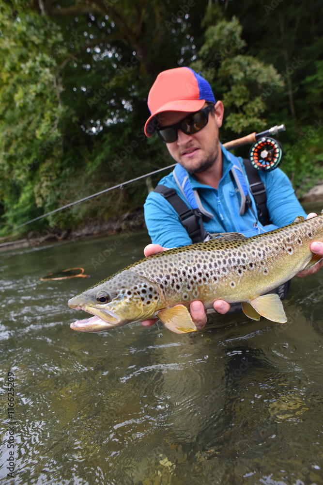 Fly-fisherman holding brown trout out of the water Fly-fisherman holding brown trout out of the water