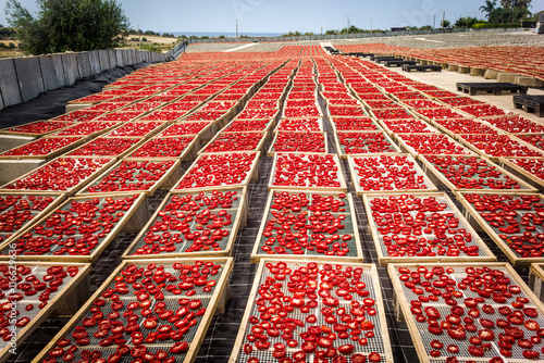 фотографія Sun dried tomatoes in Sicily