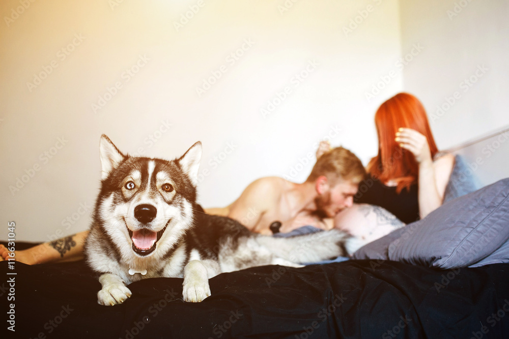 Pregnant woman, man and dog lying on a bed