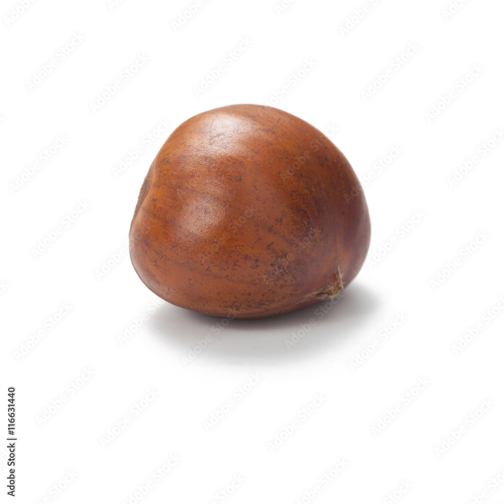 close up of fresh chestnut isolated on white background