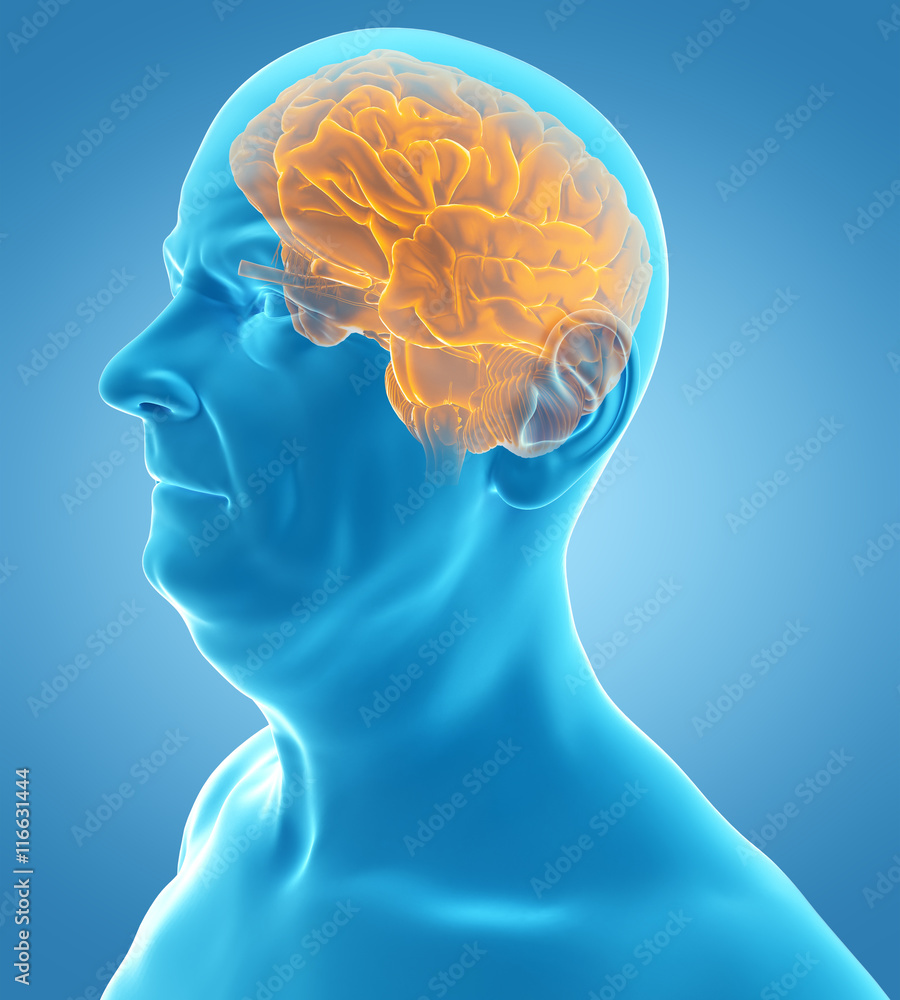 Obraz premium 3d rendered medically accurate illustration of an old man´s brain