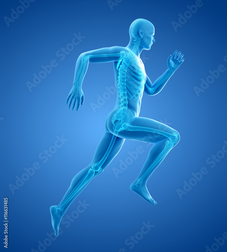3d rendered medically accurate illustration of a runner´s bones