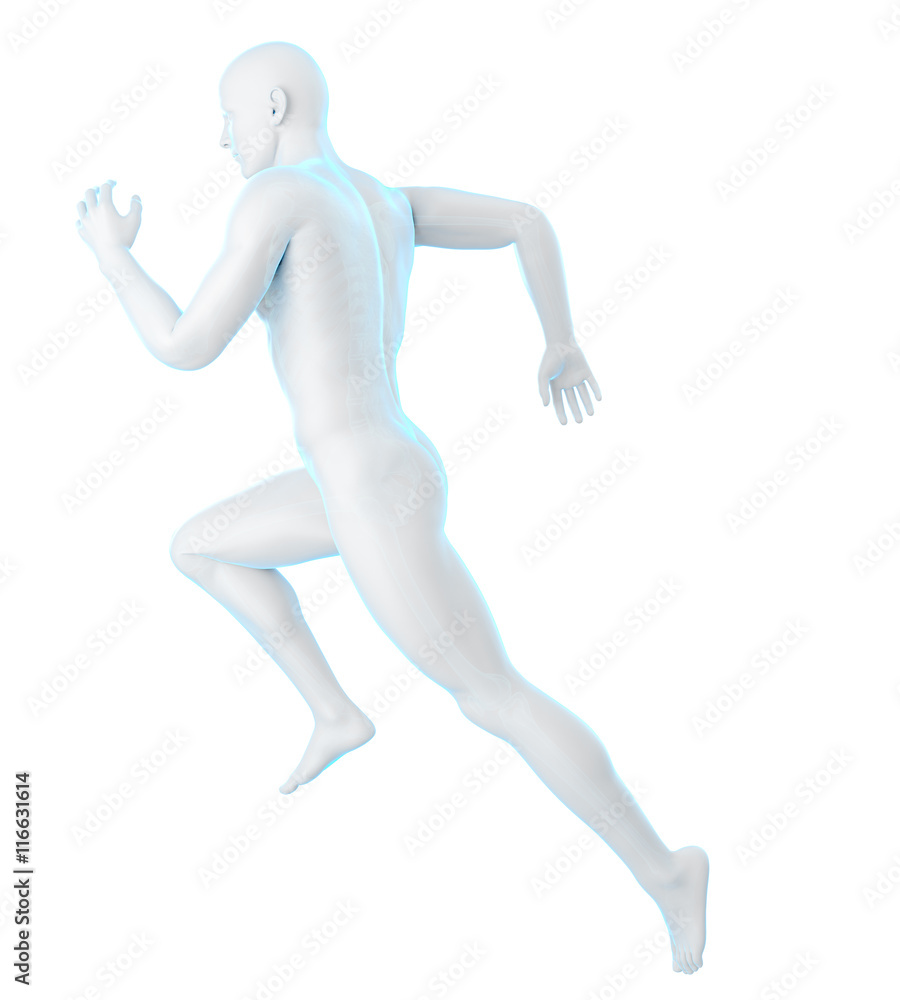 3d rendered medically accurate illustration of a runner 3d rendered medically accurate illustration of a runner