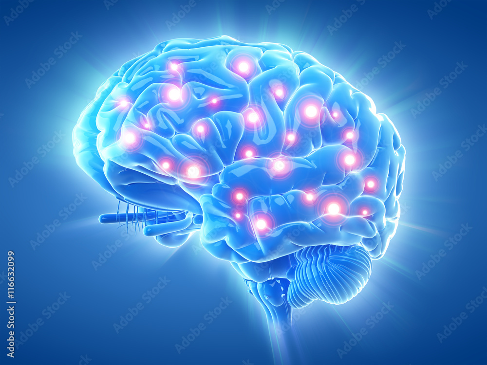 3d rendered medically accurate illustration of an active brain 3d rendered medically accurate illustration of an active brain