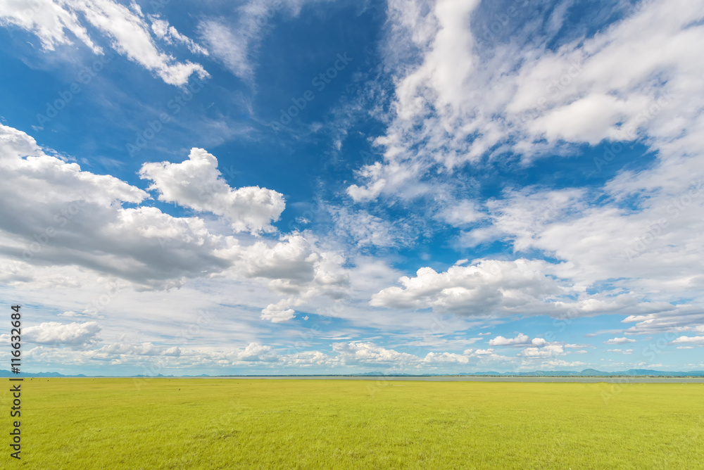 Fototapeta premium Fresh Landscape view of green grass field with blue sky