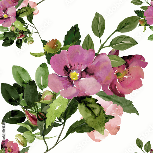 Seamless illustration branches with flowers of rose hips