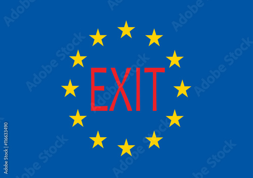 European Union Flag