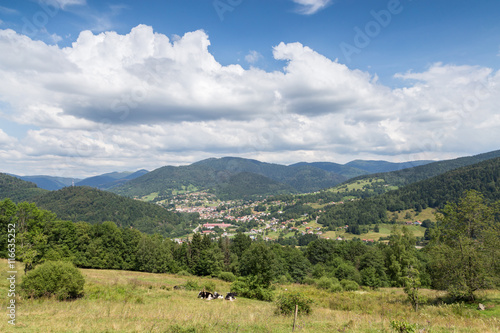 Village des Vosges